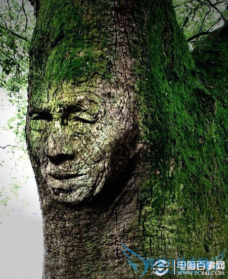 Photoshop̳ pc841.com