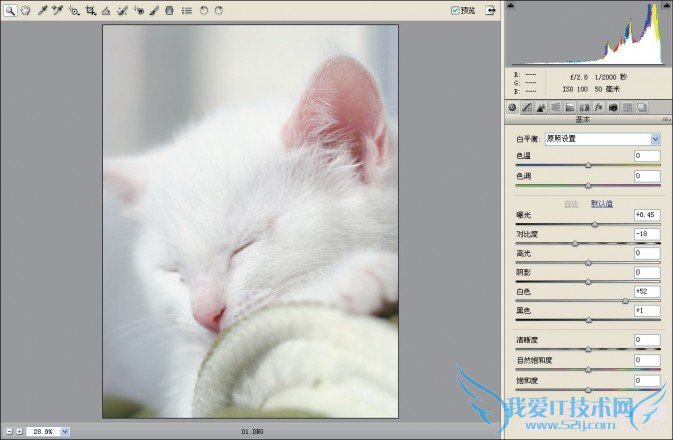 教你用PS轻松锐化猫咪的毛发