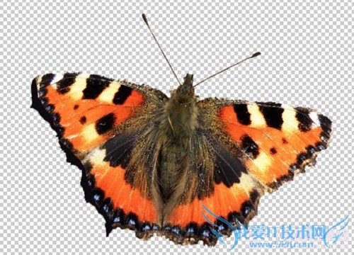 Photoshop̳̣PhotoshopеɰȤζЧʹü