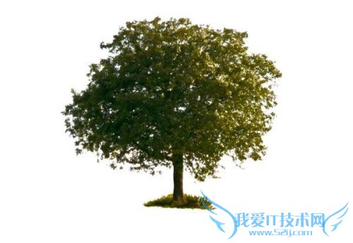 Photoshop̳̣PhotoshopеɰȤζЧʹü