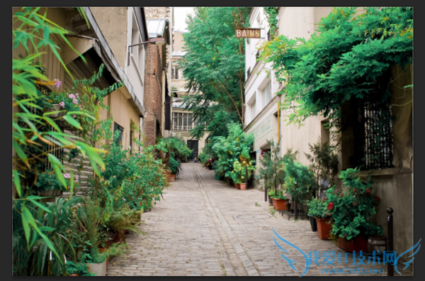 PSڽ̳ εϵɫƬʸеƬ