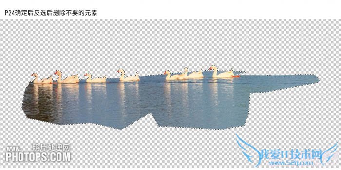 PhotoshopΪˮͼƬƯĺҶ