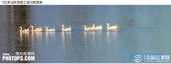 PhotoshopΪˮͼƬƯĺҶ