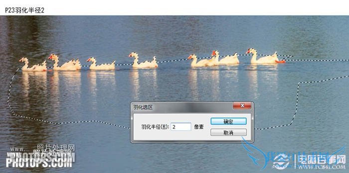 PhotoshopΪˮͼƬƯĺҶ