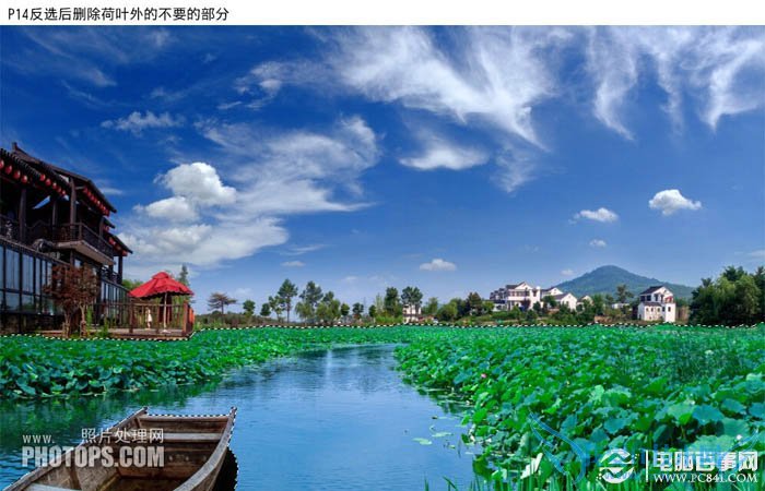 PhotoshopΪˮͼƬƯĺҶ