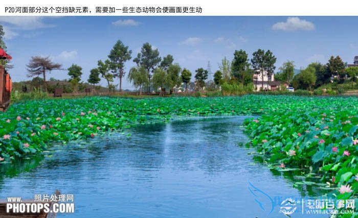 PhotoshopΪˮͼƬƯĺҶ