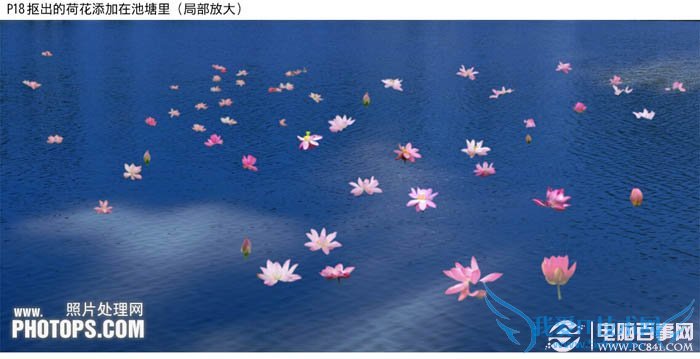 PhotoshopΪˮͼƬƯĺҶ