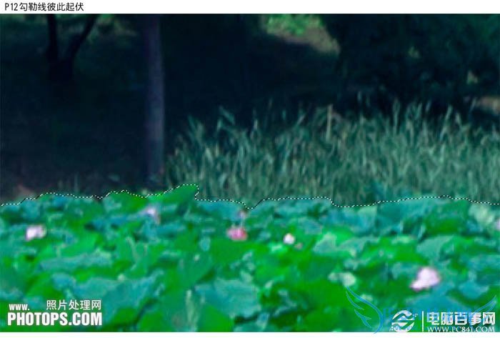 PhotoshopΪˮͼƬƯĺҶ