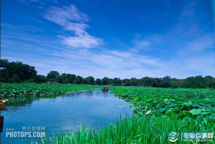 PhotoshopΪˮͼƬƯĺҶ