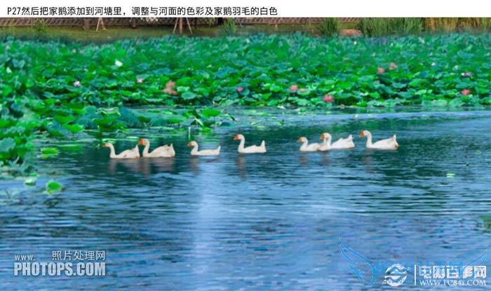 PhotoshopΪˮͼƬƯĺҶ