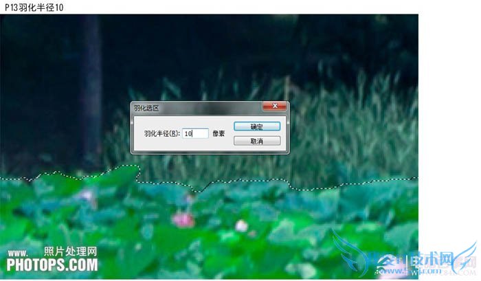 PhotoshopΪˮͼƬƯĺҶ