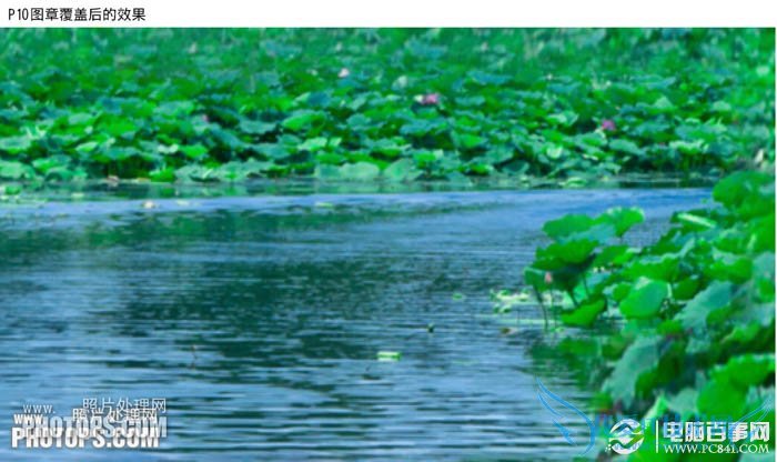 PhotoshopΪˮͼƬƯĺҶ