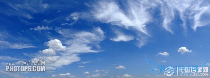 PhotoshopΪˮͼƬƯĺҶ