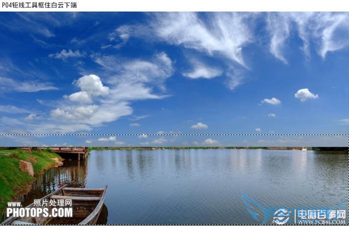 PhotoshopΪˮͼƬƯĺҶ