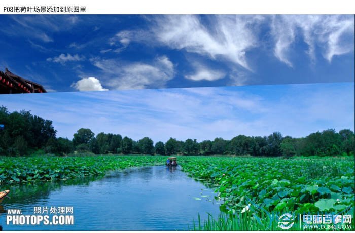 PhotoshopΪˮͼƬƯĺҶ