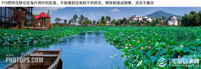 PhotoshopΪˮͼƬƯĺҶ