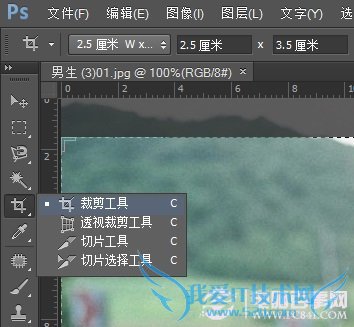 PS教程:PS裁剪1寸照片图文教程