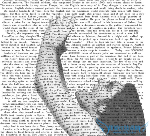 Photoshop快速制作超出画面的立体文字人像