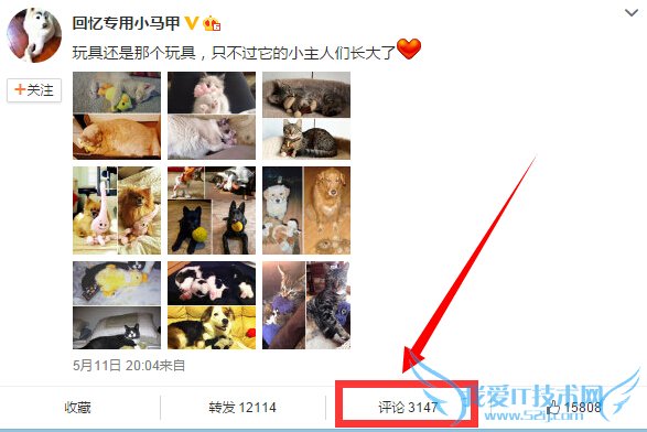 微博评论如何插入图片 微博评论添加图片方法(2)