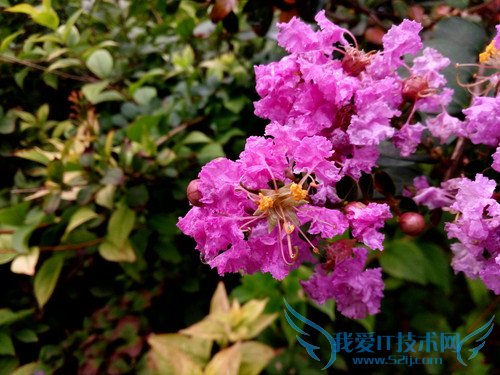 360奇酷手机青春版和小米4c哪个好 小米4c对比360奇酷手机青春版