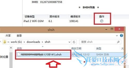电脑上备份的shsh文件