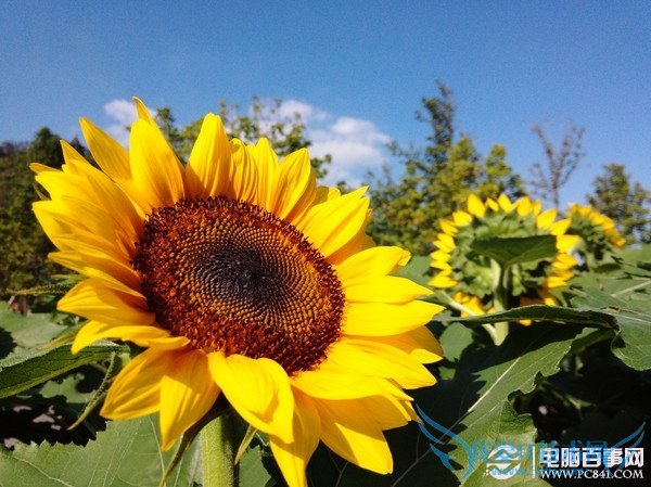 怎么看手机摄像头好坏?教你看懂手机摄像头新技术