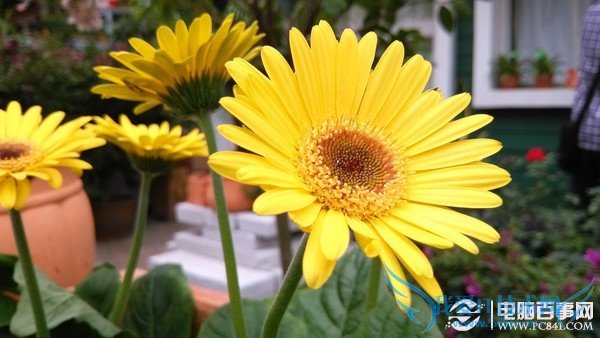 怎么看手机摄像头好坏?教你看懂手机摄像头新技术