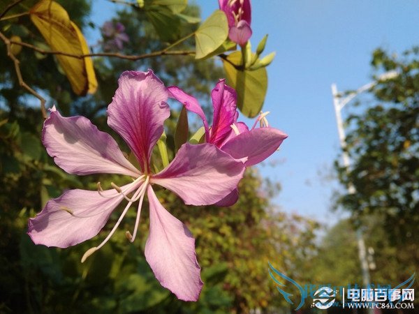 怎么看手机摄像头好坏?教你看懂手机摄像头新技术