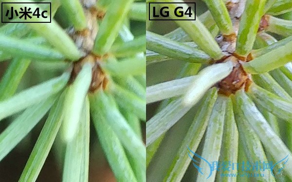 小米4c拍照和续航怎么样 小米4c拍照及续航详细评测