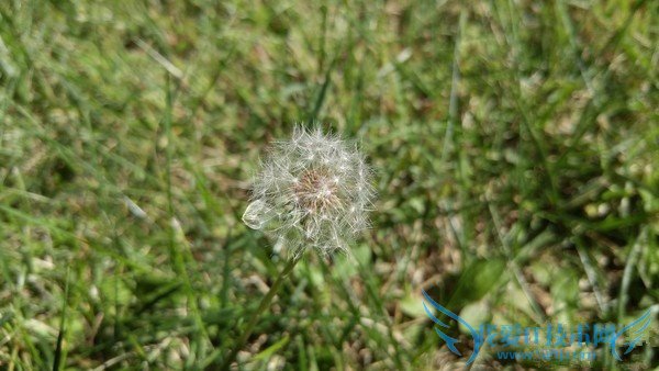 小米4c拍照和续航怎么样 小米4c拍照及续航详细评测