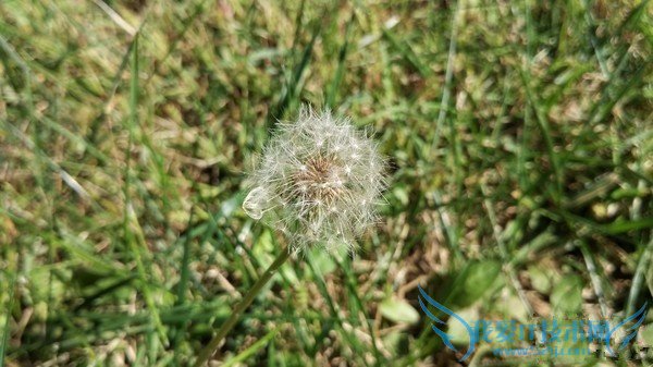 小米4c拍照和续航怎么样 小米4c拍照及续航详细评测