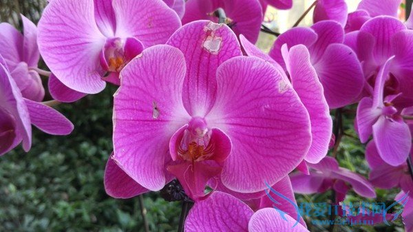 小米4c拍照和续航怎么样 小米4c拍照及续航详细评测