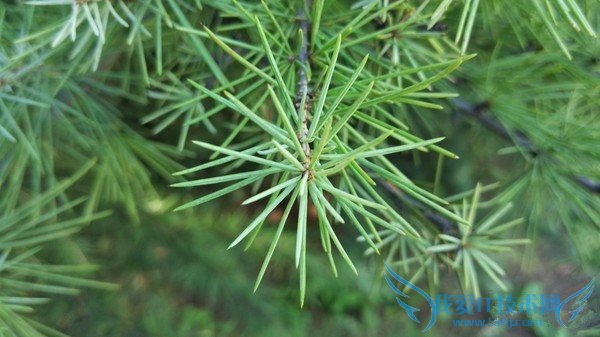 小米4c拍照和续航怎么样 小米4c拍照及续航详细评测