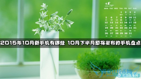 201510ֻЩ 10°¼̵ֻ