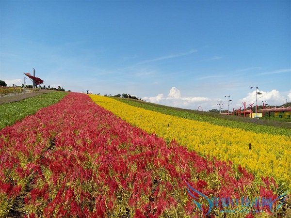 魅族MX4远景拍照样张
