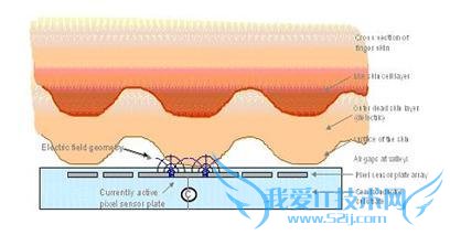 全都是高精尖 15年火了的手机技术详解