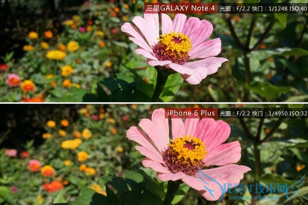 三星Note4和iPhone6 Plus拍照样张对比