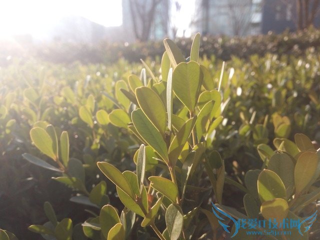 荣耀畅玩5X与红米Note 3哪个好 荣耀畅玩5X对比红米Note 3