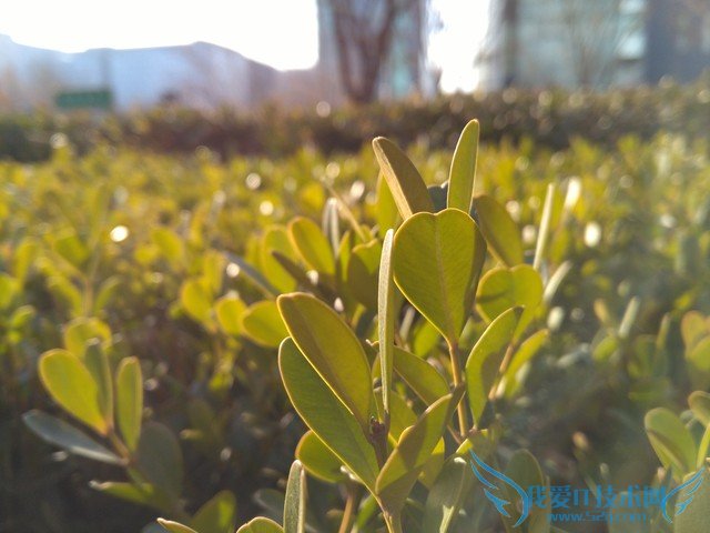 荣耀畅玩5X与红米Note 3哪个好 荣耀畅玩5X对比红米Note 3g