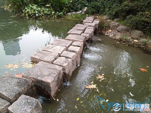 金立E7拍照样张第七张图片