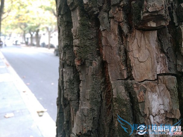 金立E7拍照样张第五张图片