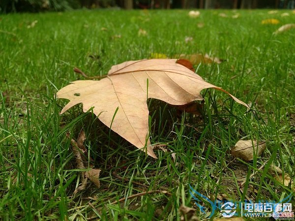 金立E7拍照样张第三张图片