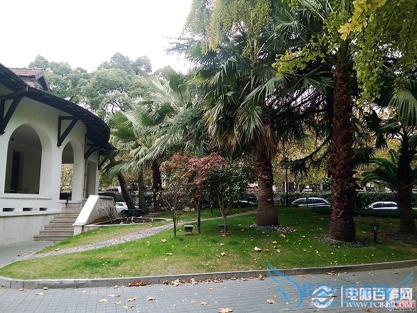 金立E7拍照样张第六张图片