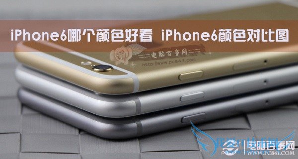 iPhone6哪个颜色好看?iPhone6颜色对比图