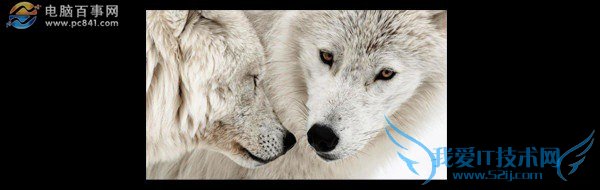 画质哪个好 小米Note与ZUK Z1屏幕对比