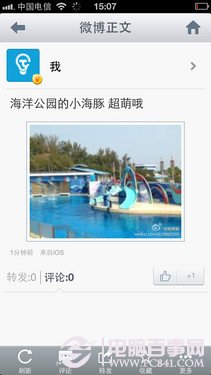 ϸ֦ĩ̸ iPhone 5罻 