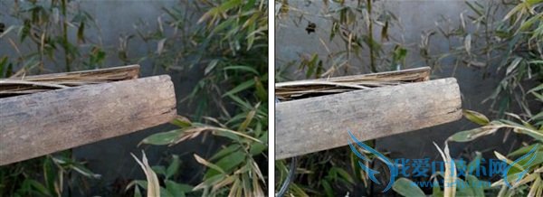 魅蓝Note和红米Note低光拍照样张对比