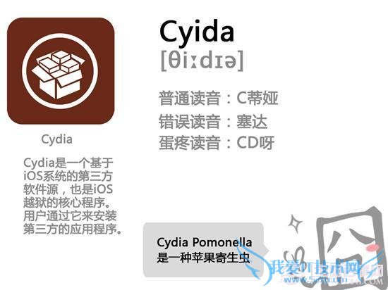 Cyida正确读法