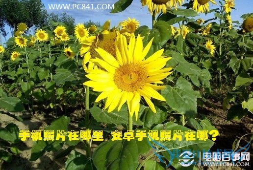 手机照片在哪里 安卓手机照片在哪?