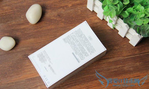 4.7英寸大屏 土豪金国行iPhone6开箱图赏